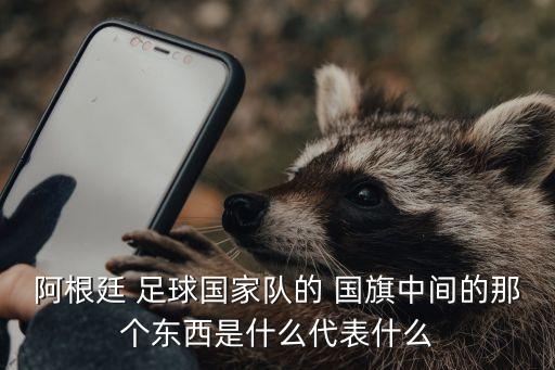 阿根廷 足球國(guó)家隊(duì)的 國(guó)旗中間的那個(gè)東西是什么代表什么