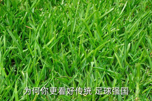 為何你更看好傳統(tǒng) 足球強(qiáng)國(guó)