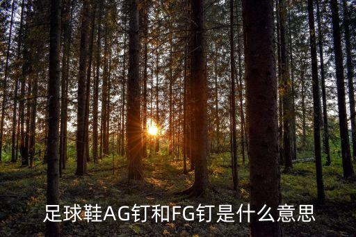  足球鞋AG釘和FG釘是什么意思