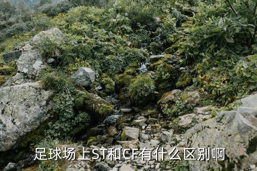  足球場(chǎng)上ST和CF有什么區(qū)別啊