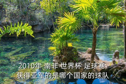2010年 南非 世界杯 足球賽,獲得亞軍的是哪個國家的球隊