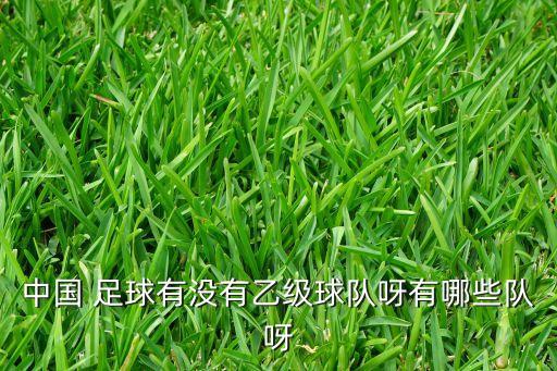 中國 足球有沒有乙級球隊呀有哪些隊呀