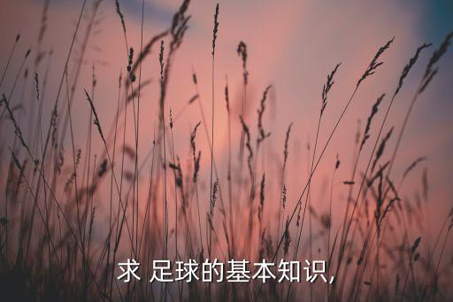 全攻全守和攻勢(shì)足球,荷蘭全攻全守足球的鼻祖