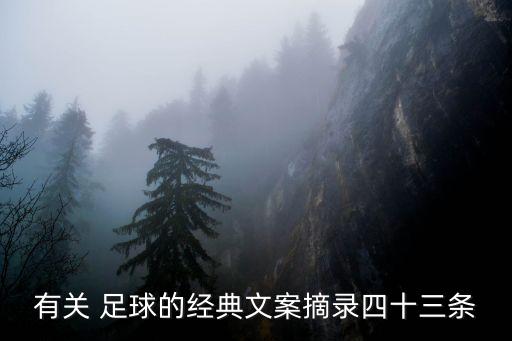 有關(guān) 足球的經(jīng)典文案摘錄四十三條