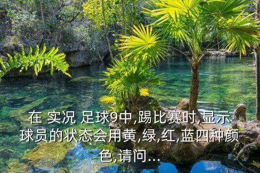 實(shí)況19足球顏色,實(shí)況足球顏色有什么區(qū)別