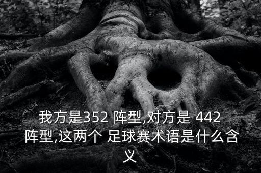 我方是352 陣型,對方是 442 陣型,這兩個 足球賽術(shù)語是什么含義