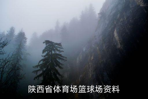 陜西省體育場(chǎng)籃球場(chǎng)資料