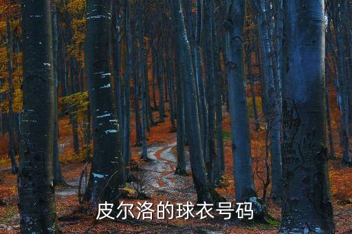 21號(hào)足球球員是誰,77號(hào)足球球員