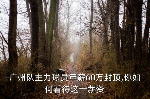 建業(yè)足球隊(duì)員年工資