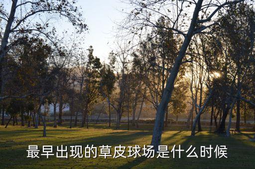 最早出現的草皮球場是什么時候