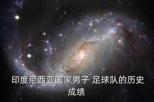  印度尼西亞國(guó)家男子 足球隊(duì)的歷史成績(jī)