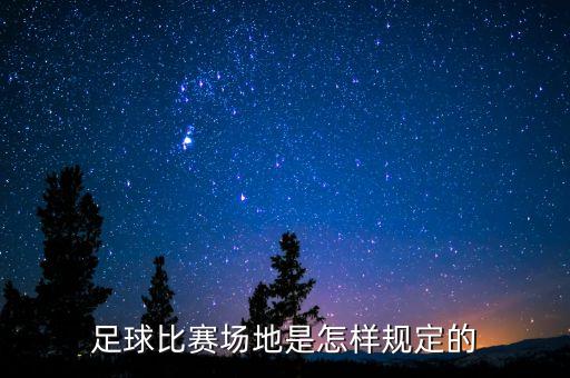 足球場(chǎng)地標(biāo)準(zhǔn)球網(wǎng),足球標(biāo)準(zhǔn)場(chǎng)地尺寸