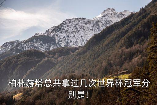  柏林赫塔總共拿過幾次世界杯冠軍分別是!