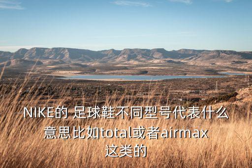 NIKE的 足球鞋不同型號(hào)代表什么意思比如total或者airmax這類(lèi)的