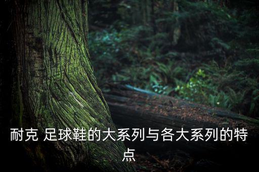 耐克 足球鞋的大系列與各大系列的特點