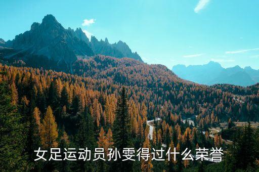 女足運(yùn)動(dòng)員孫雯得過什么榮譽(yù)