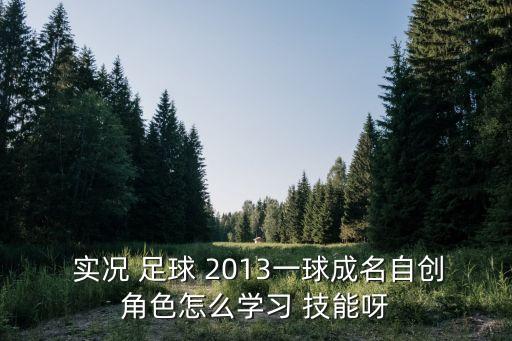  實況 足球 2013一球成名自創(chuàng)角色怎么學(xué)習(xí) 技能呀