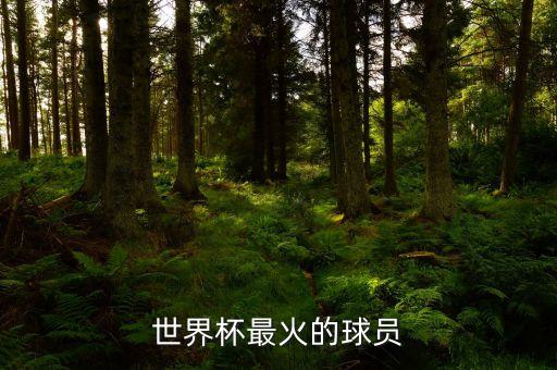立陶宛足球俱樂部爆冷