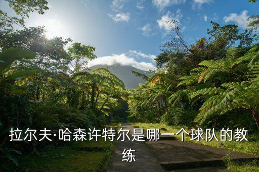 拉爾夫·哈森許特爾是哪一個(gè)球隊(duì)的教練