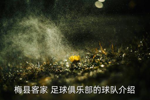 足球教練王宏偉個(gè)人資料簡(jiǎn)介,北京王宏偉醫(yī)生個(gè)人資料簡(jiǎn)介