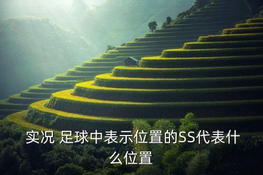  實(shí)況 足球中表示位置的SS代表什么位置