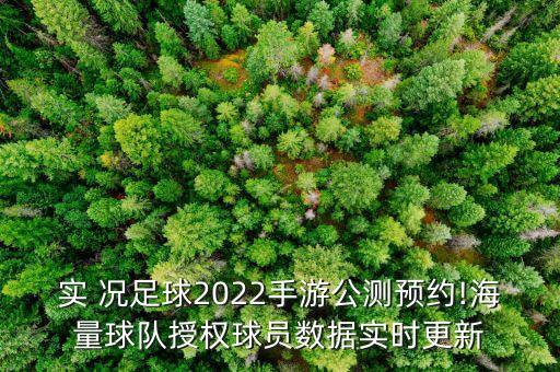 實(shí)實(shí)況況足足球