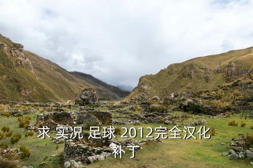 求 實況 足球 2012完全漢化 補(bǔ)丁