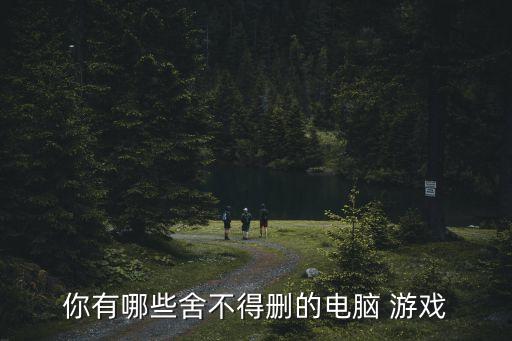 你有哪些舍不得刪的電腦 游戲