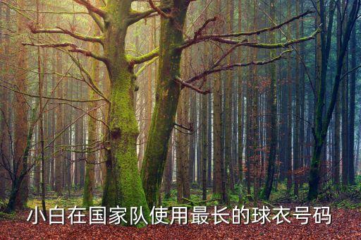 小白在國家隊使用最長的球衣號碼