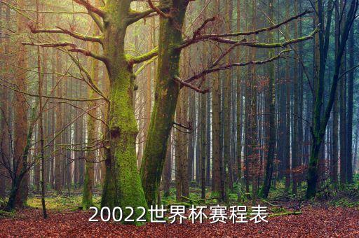 20022世界杯賽程表