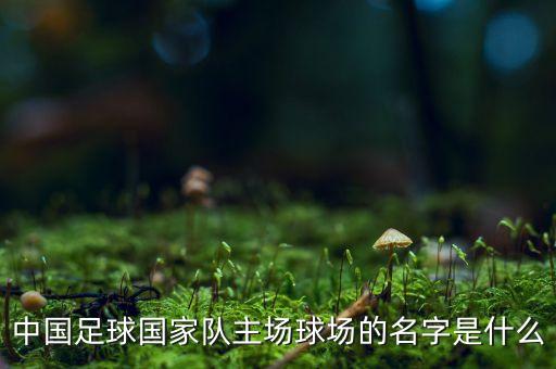中國足球國家隊(duì)主場球場的名字是什么
