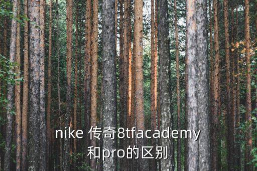 耐克傳奇系列足球鞋分類