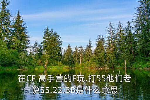 在CF 高手營(yíng)的F玩,打55他們老說55.22.BB是什么意思