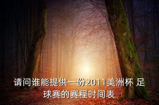 委內(nèi)瑞拉足球丙級聯(lián)賽