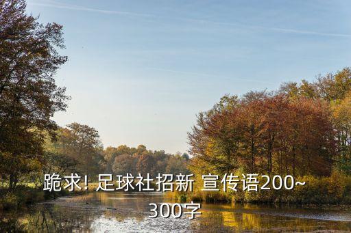 跪求! 足球社招新 宣傳語200~300字