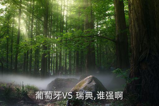 葡萄牙VS 瑞典,誰強(qiáng)啊