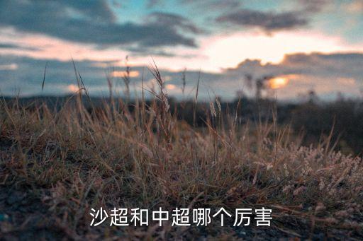 沙超和中超哪個厲害