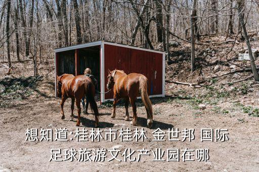金世邦國(guó)際足球