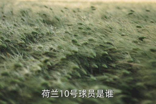 荷蘭10號球員是誰
