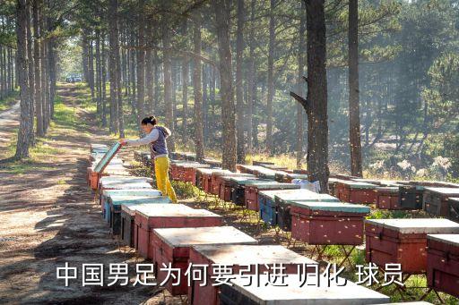 中國男足為何要引進 歸化 球員