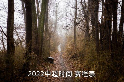 足球比賽賽程表制作,2022年世界杯足球比賽賽程表