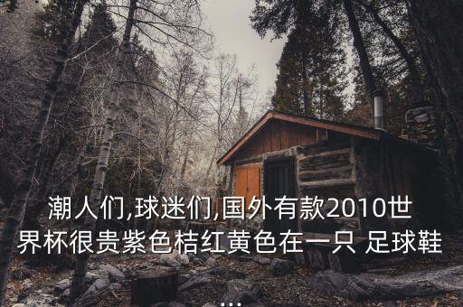 潮人們,球迷們,國外有款2010世界杯很貴紫色桔紅黃色在一只 足球鞋...