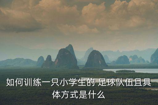 如何訓(xùn)練一只小學(xué)生的 足球隊伍且具體方式是什么