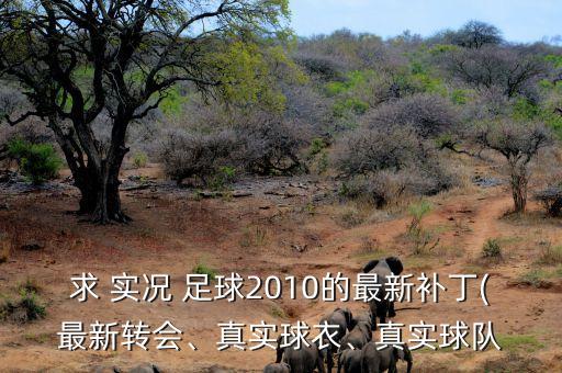 實(shí)況足球多特蒙德隊(duì)服