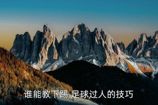 誰能教下踢 足球過人的技巧