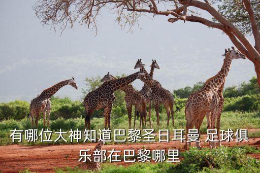 有哪位大神知道巴黎圣日耳曼 足球俱樂(lè)部在巴黎哪里