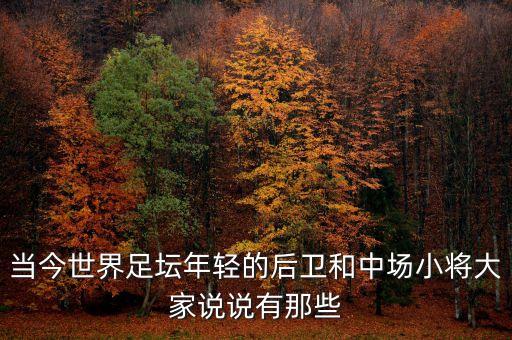 當(dāng)今世界足壇年輕的后衛(wèi)和中場(chǎng)小將大家說(shuō)說(shuō)有那些