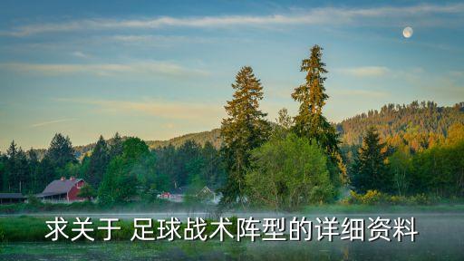 求關(guān)于 足球戰(zhàn)術(shù)陣型的詳細(xì)資料