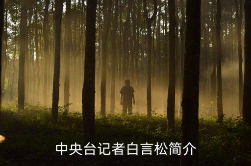 中央臺記者白言松簡介