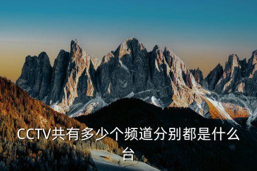 CCTV共有多少個頻道分別都是什么臺